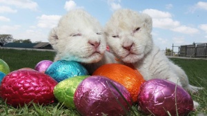 Hauskaa Pääsiäistä kaikille!
